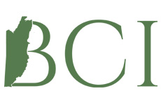 Belize Christian Impact Logo